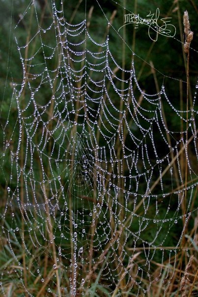 Фотовиставка Тетяни Должко